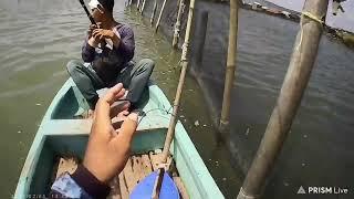 mancing perahu dayung di pantai morosari demak