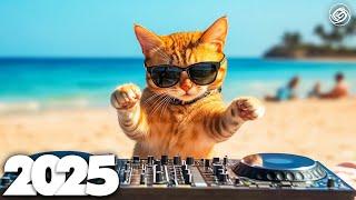 DJ REMIX 2025 - Remixes & Mashups of Popular Songs 2025 | DJ Remix Song Club Music DJ Disco Mix 2024