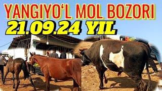 YANGIYOʻL MOL BOZORIDAGI BUGUNGI NARXLAR 