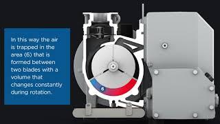 How does a rotary vane vacuum pump work?