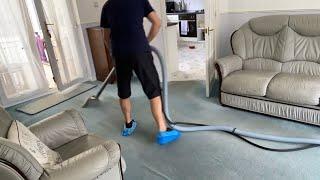 Professional Carpet Cleaning - Steam Cleaning