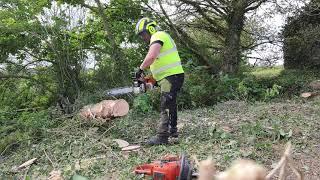 Husqvarna 560xp vs Stihl ms260 Ported. TFG Tree Service.