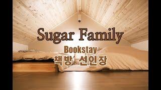 [sugar family] 첫 북스테이(책방 선인장) & 마지막 벚꽃놀이(방림면)