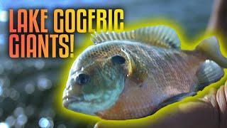 Crappie Fishing Adventure on Lake Gogebic with Justin Soffa | Fisherman’s Digest