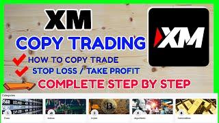 XM Copy Trading Complete Guide - How to Copy Trade in XM?