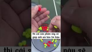 Hạt phao câu đài cho anh em mờ mắt