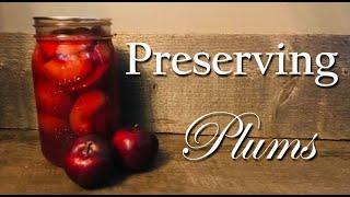 Canning Spiced Plums ~ Preserving Plums ~ Food Storage