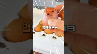 누구나 다 갖고 싶어한다는 신박템들ㅋㅋㅋ