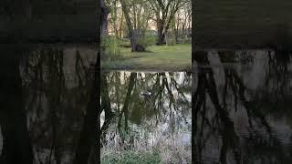 Azi in campsite ️ #campsite #viatalarulota #fulltimerv #offgridliving #vlogdecalatorie