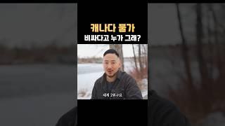 캐나다 물가 비싸다고? 누가 그래 #shorts