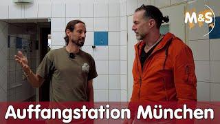 Auffangstation München | Reptil TV