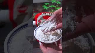 “菠菜”你这样给宝宝做过吗？ 没有试过的一定做一做，一看就会，一做就对。 秋田满满 辅食教程 宝宝爱吃