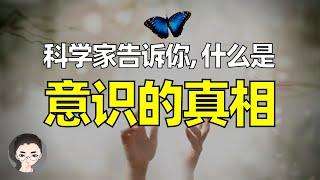 科学家告诉你, 什么是意识的真相! 意识能够脱离肉体存在吗?   | 纯能量的心灵与外星人的心灵 | 加来道雄《心灵的未来》 | 阿西莫夫《最后的问题》宇宙轮回