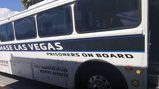 New Vista Destination Discovery Program - Police Chase Las Vegas