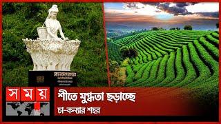 যাবেন নাকি চায়ের রাজ্য শ্রীমঙ্গলে? | Sreemangal | Tea Garden | Tourists | Somoy TV