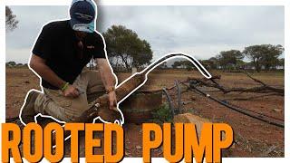 Rooted Pump Rescue: Outback Water Troubles