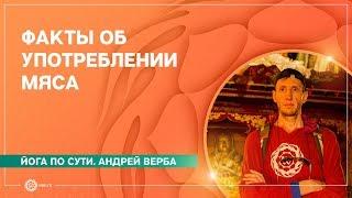 Факты О МЯСОЕДЕНИИ. Об употреблении мяса. Андрей Верба.