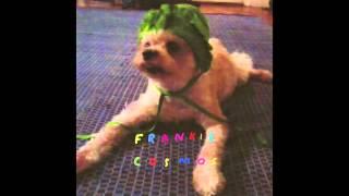 Frankie Cosmos - Art School