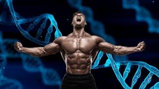 How Follistatin Spike Your Muscle?