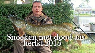 Snoeken met dood aas 2015 - Pike fishing with dead bait in autumn (English subtitles) #27