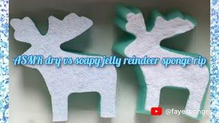 ASMR Christmas collection dry vs soapy jelly reindeer sponge rip. Ripping crispy sponges 