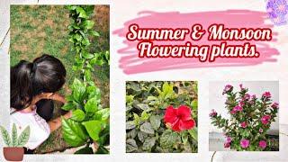 Floweringplants#summer#bloomwithus#vibrantcolour#soothing#happyenvironmetday#plantasapling#flower