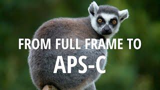 Goodbye Full frame hello APS-C crop sensor camera