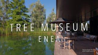 Enea Tree Museum St. Gallen SWITZERLAND スイス