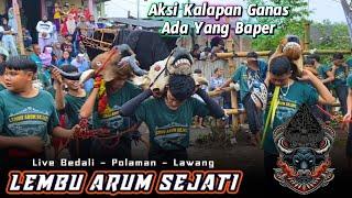 Full Kalapan!? Loh Ada Yg Baper ?? LEMBU ARUM SEJATI Terbaru Live Bedali Polaman - Lawang