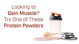 How To Choose The Best Protein Powders For Gaining Muscle