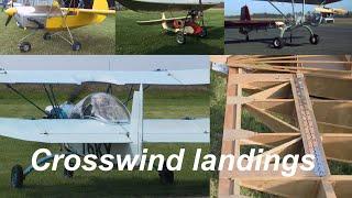 Flying Flea lesson 8 Crosswind AND ...