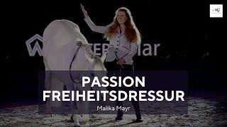 Passion Freiheitsdressur I Malika Mayr