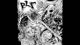 Birdflesh/P.L.F. - Split LP Full Album (2014)