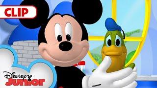 Donald Turns Into a Frog!  | Mickey Mouse Clubhouse |  @disneyjr​