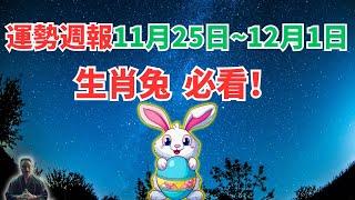 命理測算：屬兔人一週運勢（11月25日至12月1日），內含吉凶日，一定要看！ #2024年生肖兔運勢 #2024年生肖兔運程 #2024年屬兔運勢 #屬兔運程