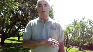 Expat Tales in Costa Rica-Pierre Lusignan