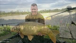 łowienie karpi na łowisku Małe Kornaty .Brania na żywo #fox #carp #shimano