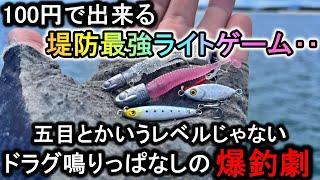 ダイソーの100円ライトゲームはドラグ爆鳴り釣れすぎで釣果はライトじゃありません