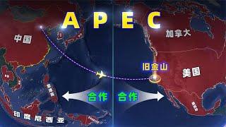 APEC：亚太经合组织，是什么？【三维地图看世界】