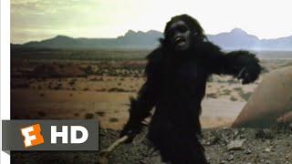 2001: A Space Odyssey (1968) - From Bone to Satellite Scene (1/6) | Movieclips