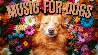 4 HOURS of Separation Anxiety Music for Dog Relaxation!