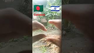 Bangladesh Vs Israel