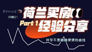 攻略21-荷兰买房Part1 为什么买房+近期市场形势+买二手房的流程 | 荷兰购房经验分享 Buying a house in the Netherlands | 胖仔的荷兰日记 20220520