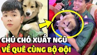 Chú chó số hưởng được 'CHÚ BỘ ĐỘI' bế theo về quê trong ngày ra quân  | Gâu Đần