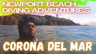 Newport Beach Diving Adventures / Corona Del Mar !