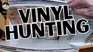 The Thrill of the Hunt: Vintage Vinyl Adventures