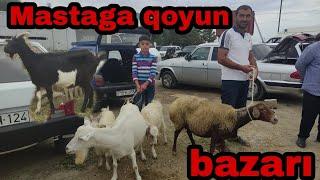 Maştaga Qoyun Bazarı 05.09.2021