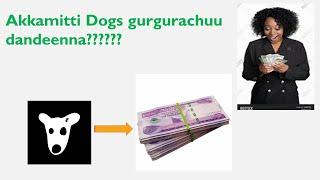 Akkamitti Dogs wallet irraa gara maallaqaatti gurgurachuu dandeenna How to sell Dogs on wallet?