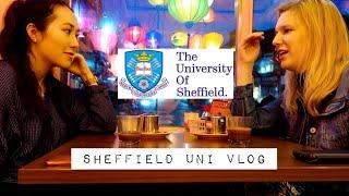 Sheffield University Vlog - student accommodation, library and campus tour