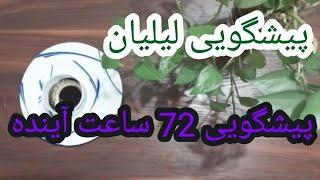 پیشگویی ۷۲ ساعت آینده با فال قهوه | اتفاقات احساسی، کاری و مالی | لیلیان تاروت